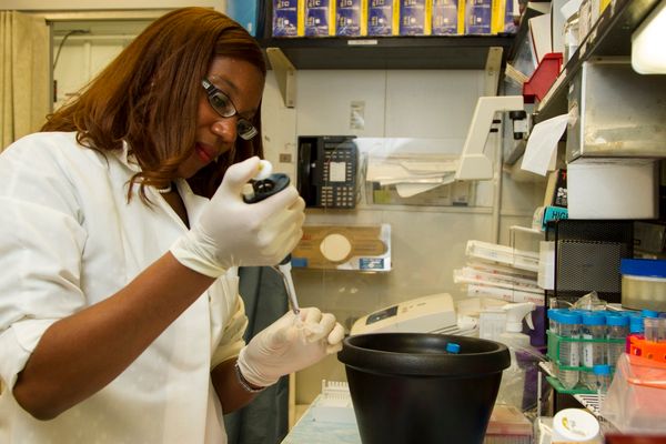 A researcher in a lab pipetting DNA samples into a tube.